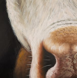 Schilderij COW