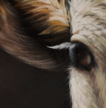 Schilderij COW