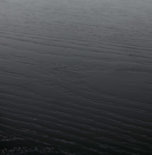 Wandrek BRETO Zwart 40x80cm