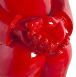 Beeld GROOM Rood