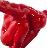 Beeld DIVE Rood
