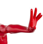 Beeld DIVE Rood