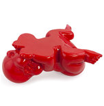 Beeld CYSGU Rood