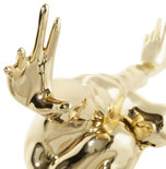 Beeld DIVE Goud